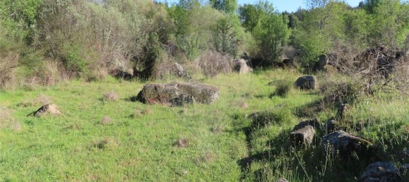 9 Schlafzimmer Haus in Penamacor, Portugal, Nr. 58556 45