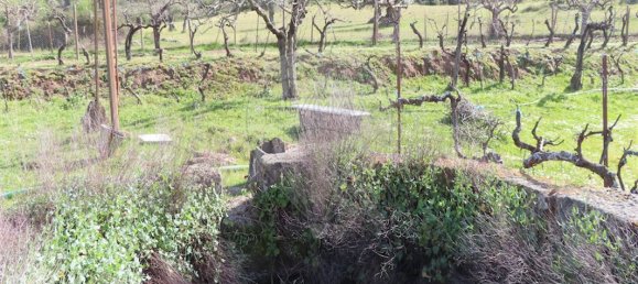 9 Schlafzimmer Haus in Penamacor, Portugal, Nr. 58556 13