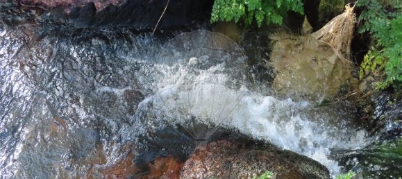 9 Schlafzimmer Haus in Penamacor, Portugal, Nr. 58556 25