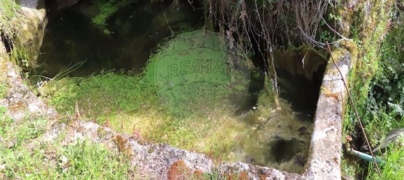 9 Schlafzimmer Haus in Penamacor, Portugal, Nr. 58556 16