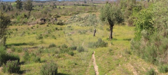 9 Schlafzimmer Haus in Penamacor, Portugal, Nr. 58556 19