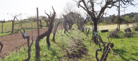 9 Schlafzimmer Haus in Penamacor, Portugal, Nr. 58556 12