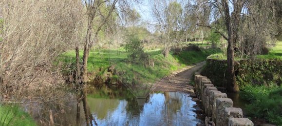 9 Schlafzimmer Haus in Penamacor, Portugal, Nr. 58556 30