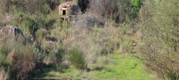 9 Schlafzimmer Haus in Penamacor, Portugal, Nr. 58556 41