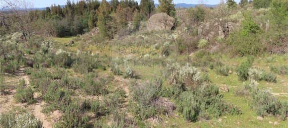 9 Schlafzimmer Haus in Penamacor, Portugal, Nr. 58556 39