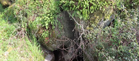 9 Schlafzimmer Haus in Penamacor, Portugal, Nr. 58556 17