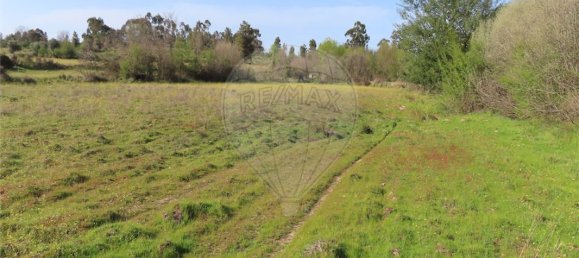 9 Schlafzimmer Haus in Penamacor, Portugal, Nr. 58556 28