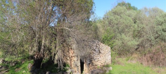 9 Schlafzimmer Haus in Penamacor, Portugal, Nr. 58556 48