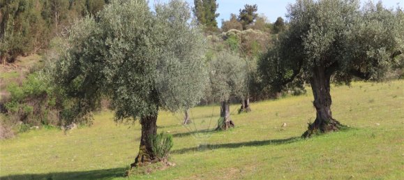 9 Schlafzimmer Haus in Penamacor, Portugal, Nr. 58556 11