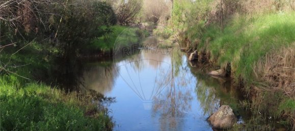 9 Schlafzimmer Haus in Penamacor, Portugal, Nr. 58556 24