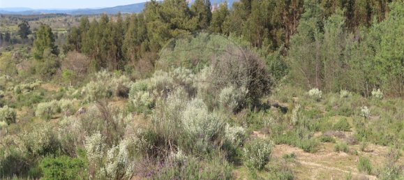 9 Schlafzimmer Haus in Penamacor, Portugal, Nr. 58556 40