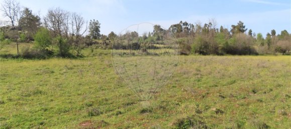 9 Schlafzimmer Haus in Penamacor, Portugal, Nr. 58556 29