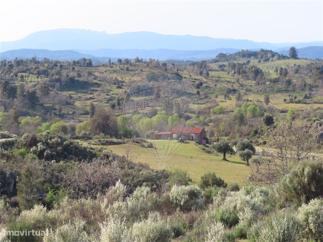 9 Schlafzimmer Haus in Penamacor, Portugal, Nr. 58556