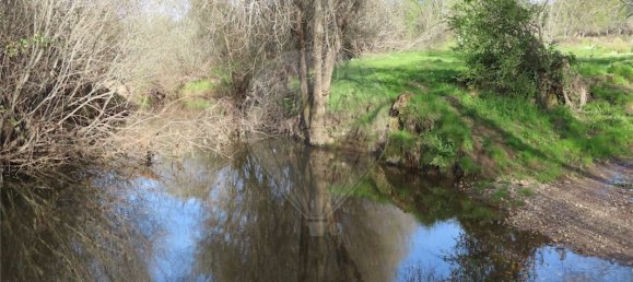 9 Schlafzimmer Haus in Penamacor, Portugal, Nr. 58556 31