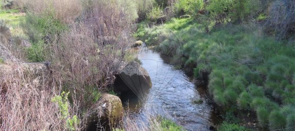9 Schlafzimmer Haus in Penamacor, Portugal, Nr. 58556 20