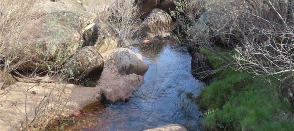 9 Schlafzimmer Haus in Penamacor, Portugal, Nr. 58556 27