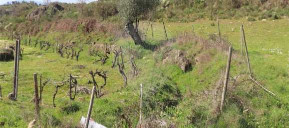 9 Schlafzimmer Haus in Penamacor, Portugal, Nr. 58556 2