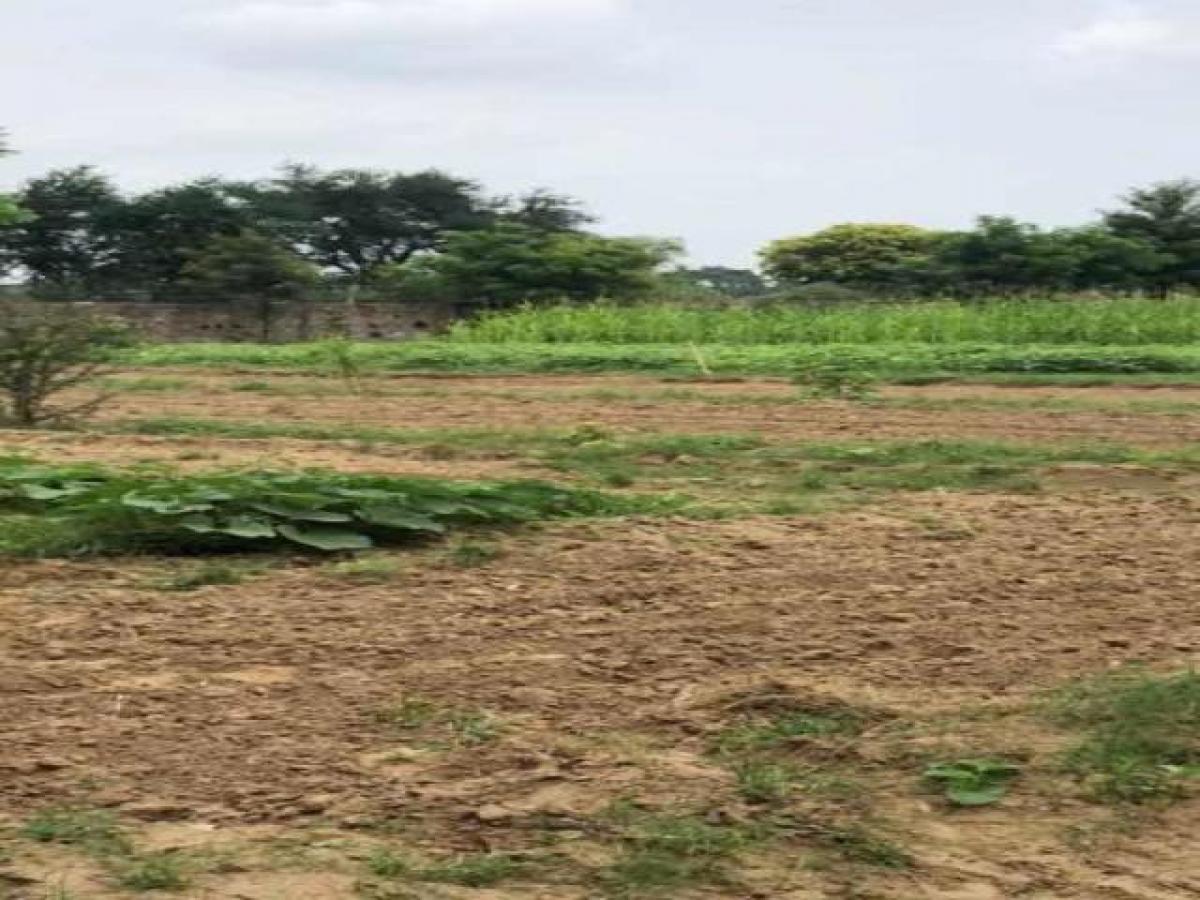 Grundstück in Gurgaon, India, Nr. 34802