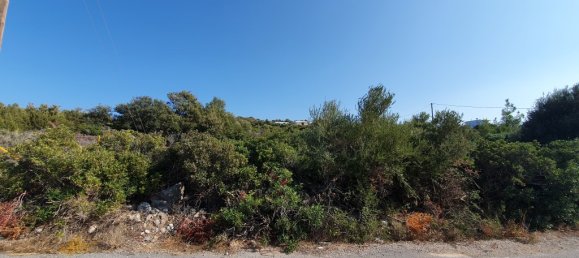 5423m² terrain à vendre à Agios Nikolaos, Lasithi, Crete, Greece № 95098 3