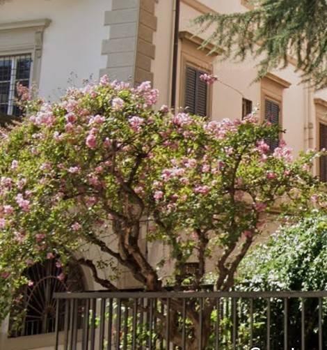 3 rooms Apartment in Florence, Italy No. 28248