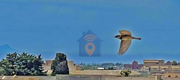 Дом с 4 спальнями в Петрозино, Италия № 154461 21