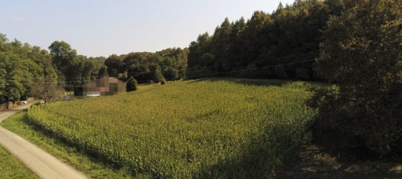 Terrain à Heiligenkreuz im Lafnitztal, Austria No. 134275 4