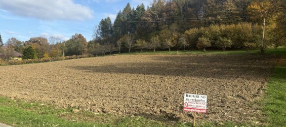 Terrain à Heiligenkreuz im Lafnitztal, Austria No. 134275 2