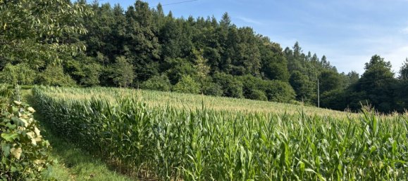 Terrain à Heiligenkreuz im Lafnitztal, Austria No. 134275 5