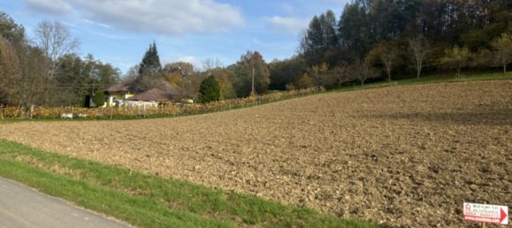 Terrain à Heiligenkreuz im Lafnitztal, Austria No. 134275 3