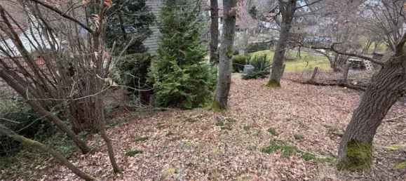 1 bedroom Townhouse in Hochtaunuskreis, Germany No. 17154 20