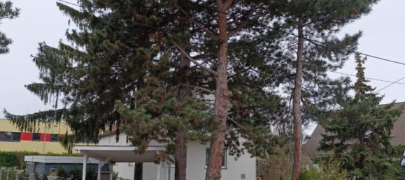 Grundstück in Wien, Austria 635m², Nr. 35936 2