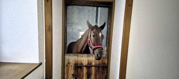 6 bedrooms House in Lower Austria, Austria No. 196473 48