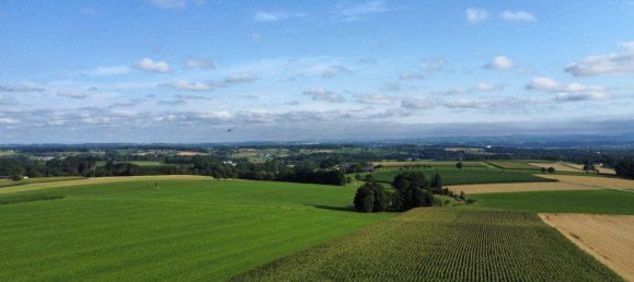 6 bedrooms House in Lower Austria, Austria No. 196473 26