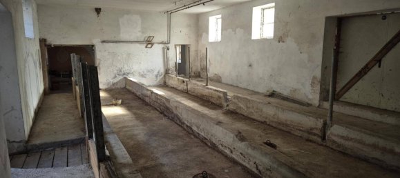 6 bedrooms House in Lower Austria, Austria No. 196473 10