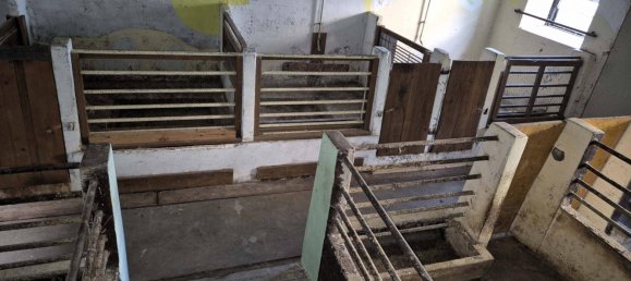 6 bedrooms House in Lower Austria, Austria No. 196473 9