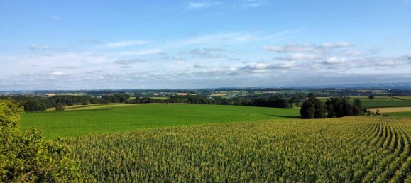 6 bedrooms House in Lower Austria, Austria No. 196473 20