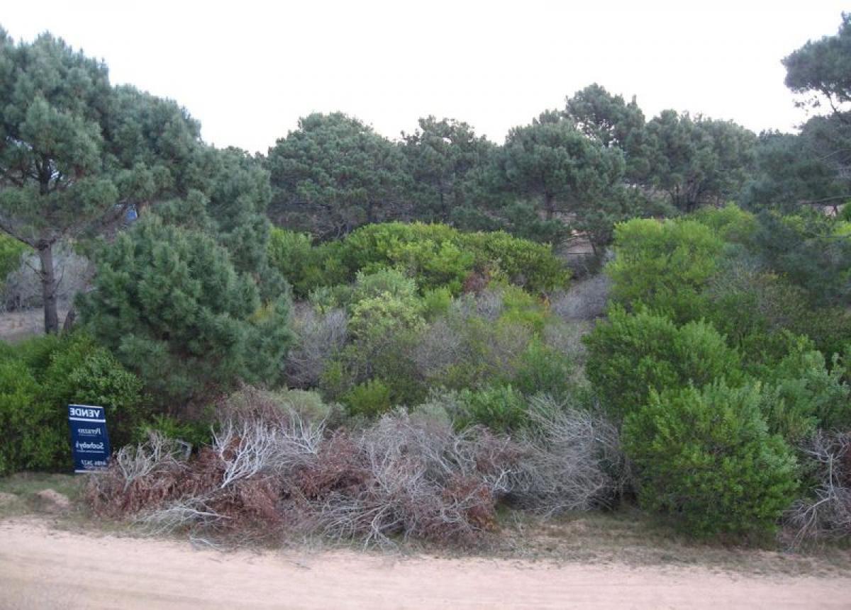  Land in Maldonado, Uruguay No. 14599