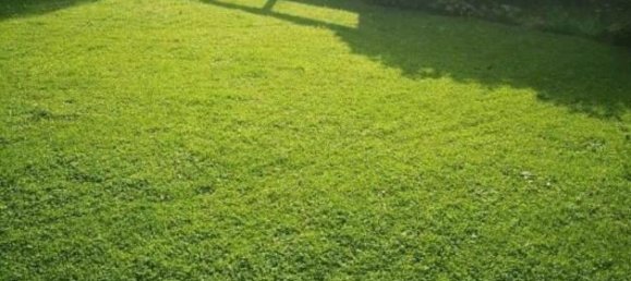 Бунгало с 3 спальнями в Вандсбек, Германия № 218577 4