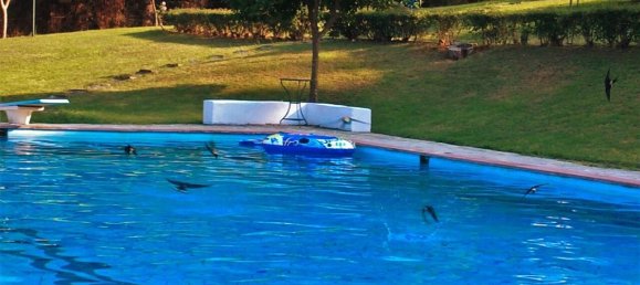 4 chambres Property à Chalkidiki, Greece No. 5729 3