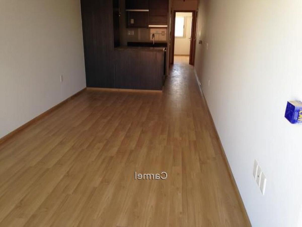 Studio in Montevideo, Uruguay No. 424