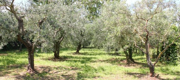 5 rooms House in Zagarolo, Italy No. 196392 17