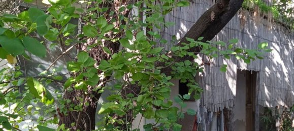 6 rooms House in Quartu Sant'Elena, Italy No. 224512 25