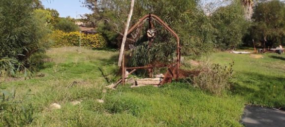 6 rooms House in Quartu Sant'Elena, Italy No. 224512 8