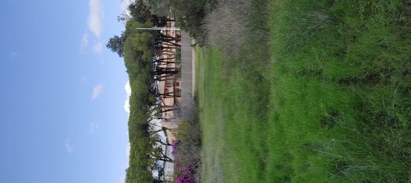 6 rooms House in Quartu Sant'Elena, Italy No. 224512 12