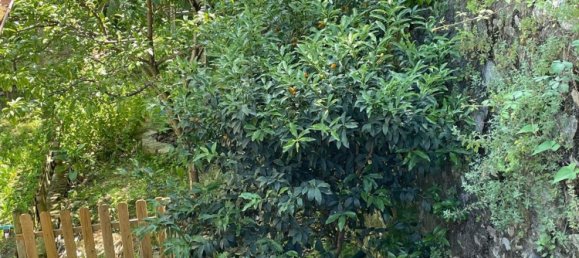 7-Zimmer Wohnung in Genoa, Italy, Nr. 169616 4