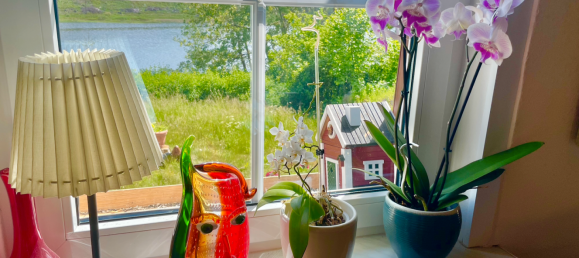 Adosado de 6 dormitorios en Harz, Germany No. 149048 3