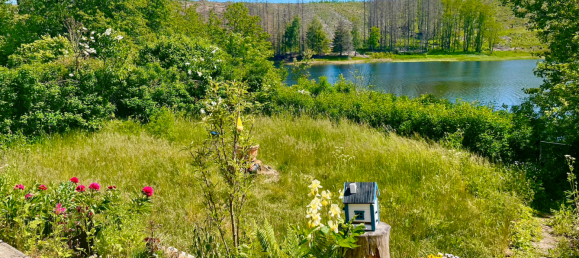 Adosado de 6 dormitorios en Harz, Germany No. 149048 10