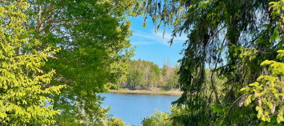 Adosado de 6 dormitorios en Harz, Germany No. 149048 9