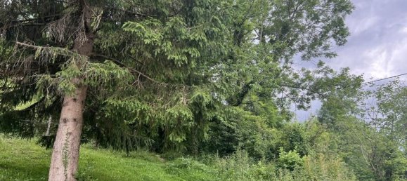 3 غرف نوم منزل في Cantabria, Spain رقم 158465 9