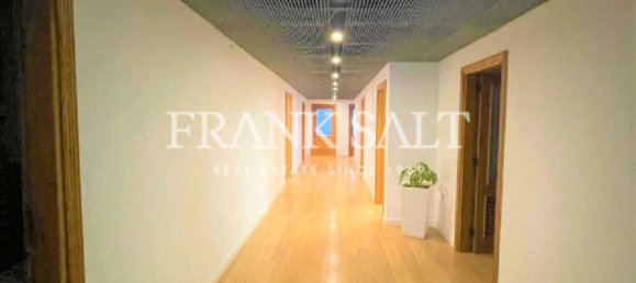 1535m² Office in Pieta, Malta No. 12368 9